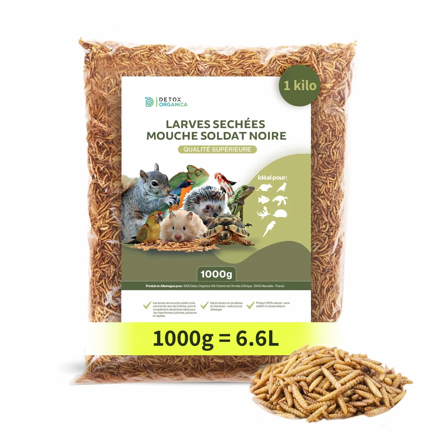 Black Soldier Fly Larve 1000g Friandise Oiseaux Hérissons Tortues Reptiles Poissons Rongeurs 100% Naturel