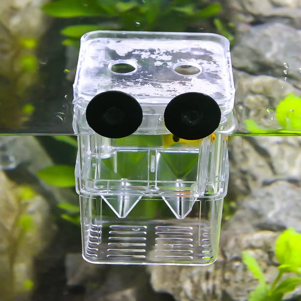 SENZEAL Boîte d'élevage de poisson flottante avec pipettes pour aquarium