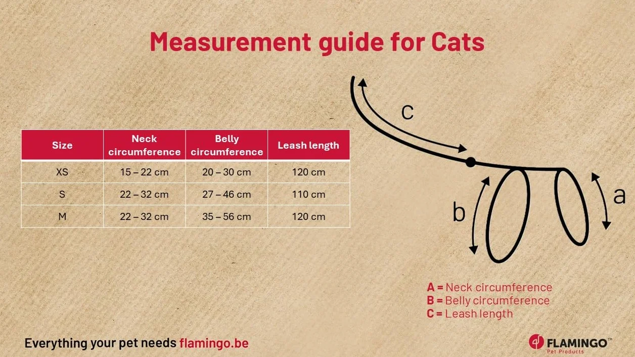 Harnais pour Chat Elza Noir 15-22cm 20-30cm Laisse 120cm Nylon réglable réfléchissant Mousqueton