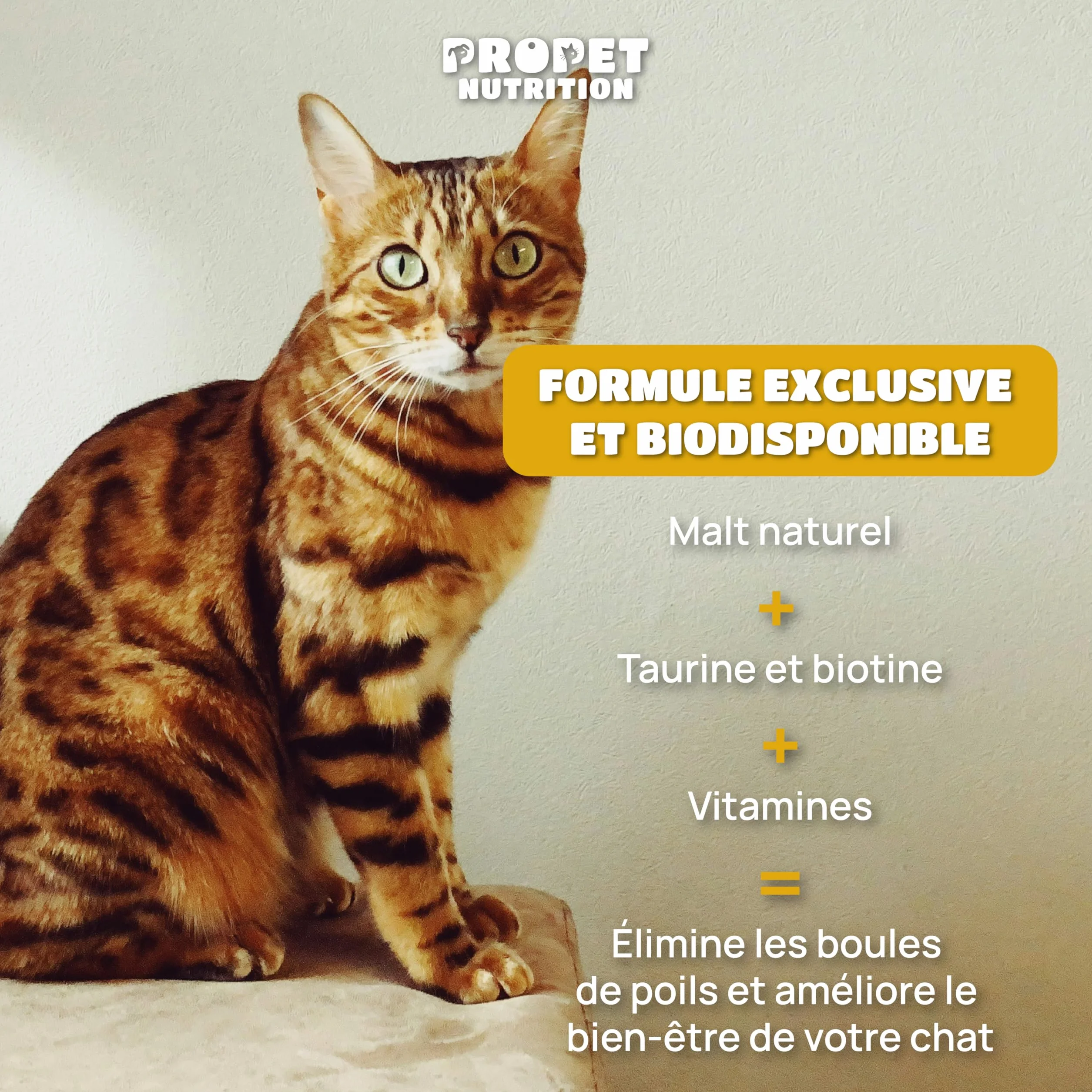Malt Chat Anti Boule de Poil avec Taurine et Vitamines 120 ML