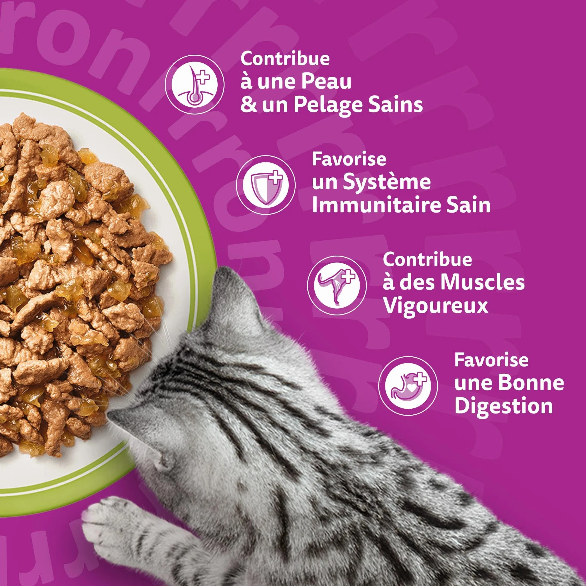 WHISKAS Repas 48 Sachets Fraîcheur La Carte Mixte Pâtée pour Chat Adulte en Gelée Nourriture Humide Complète