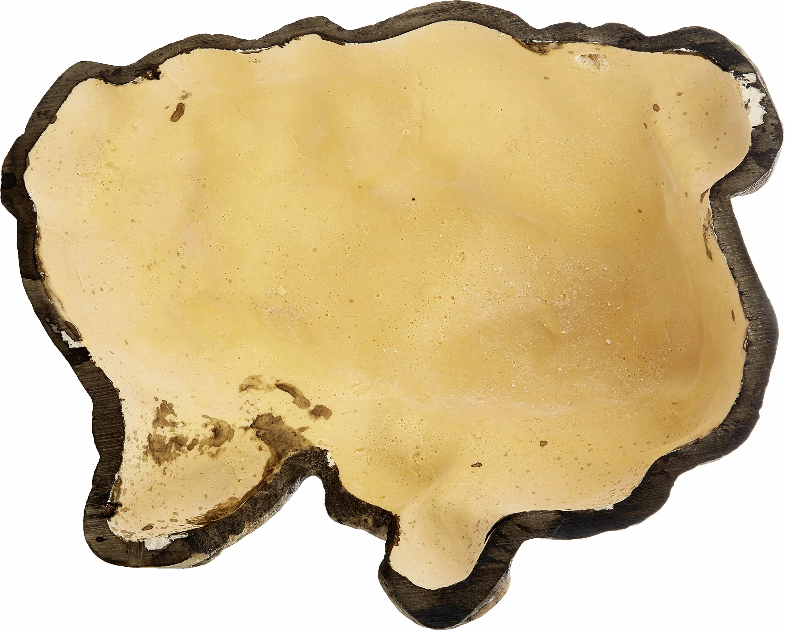 Exoterra Reptile Cave Cachette Naturelle Taille L