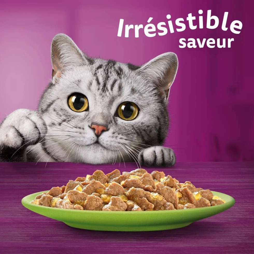 WHISKAS Repas 48 Sachets Fraîcheur La Carte Mixte Pâtée pour Chat Adulte en Gelée Nourriture Humide Complète