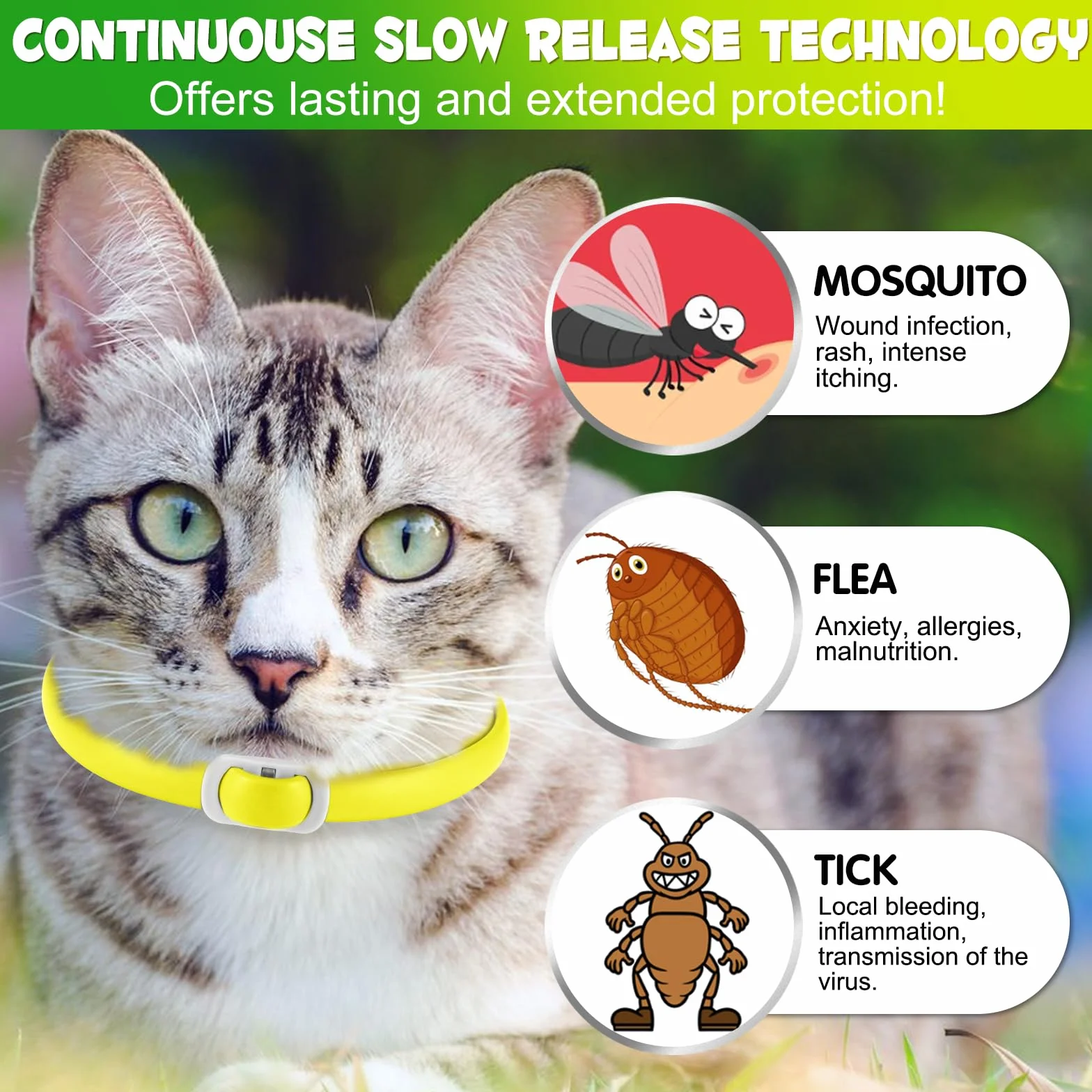 Collier pour Chat Imperméable Anti-Puces et Tiques, Ensemble de 4, Protection 24 Mois
