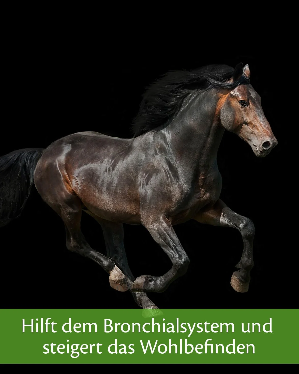 Equistro Secreta Pro Max Granules for Horses 800g
