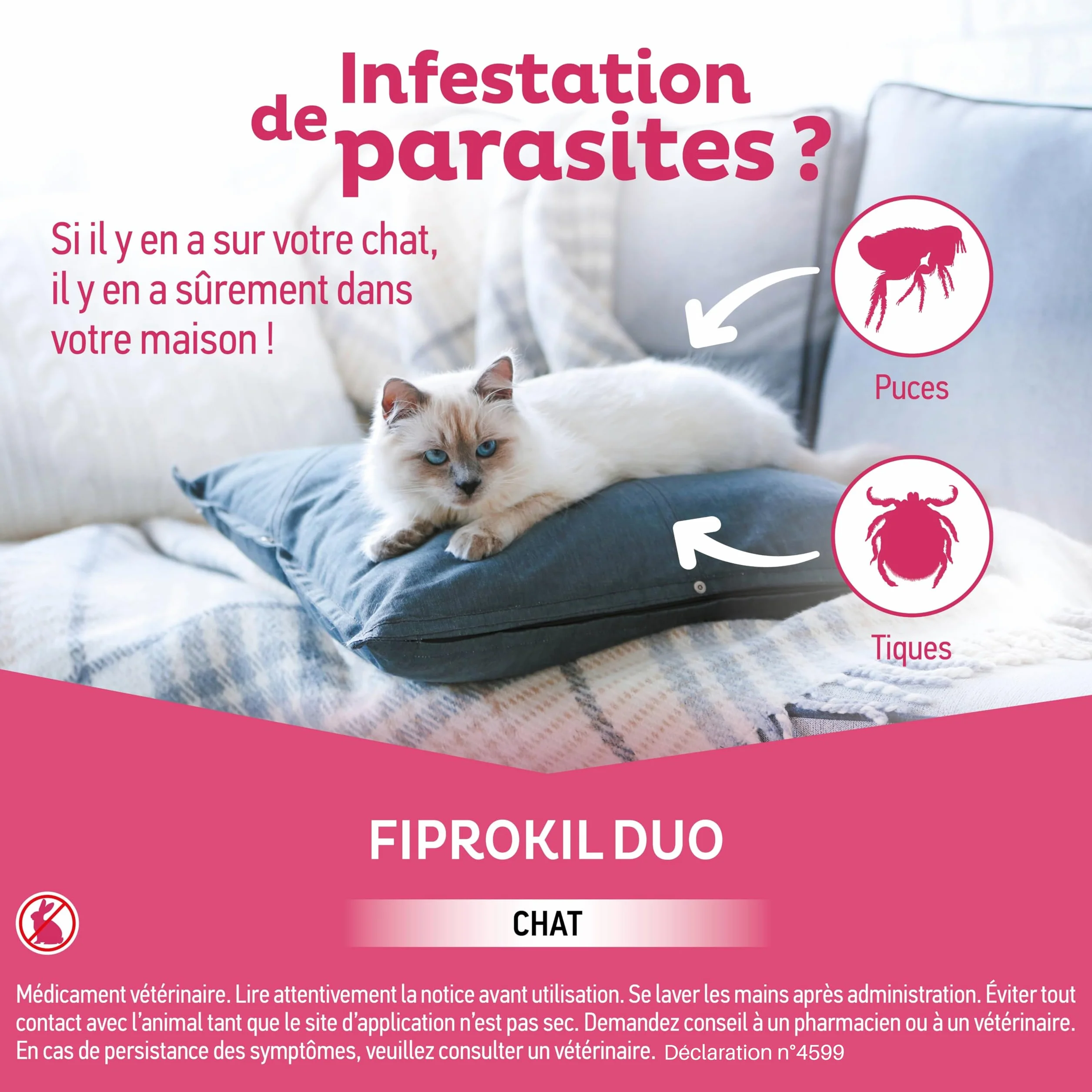 Clément Thékan Anti-puces Anti-tiques Chats Protection 2 en 1 4 pipettes Fiprokil Duo (50mg/60mg)