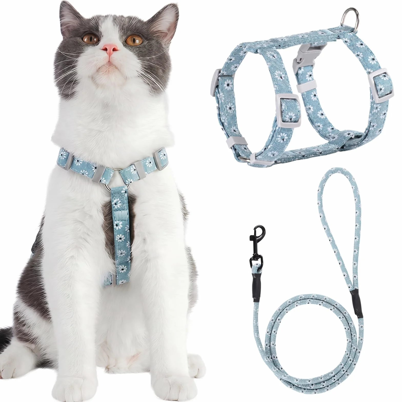 PETTOM Harnais Laisse Chat Anti Évasion Réglable avec Laisse Corde 145 cm pour Chaton Chat Adulte Bleu