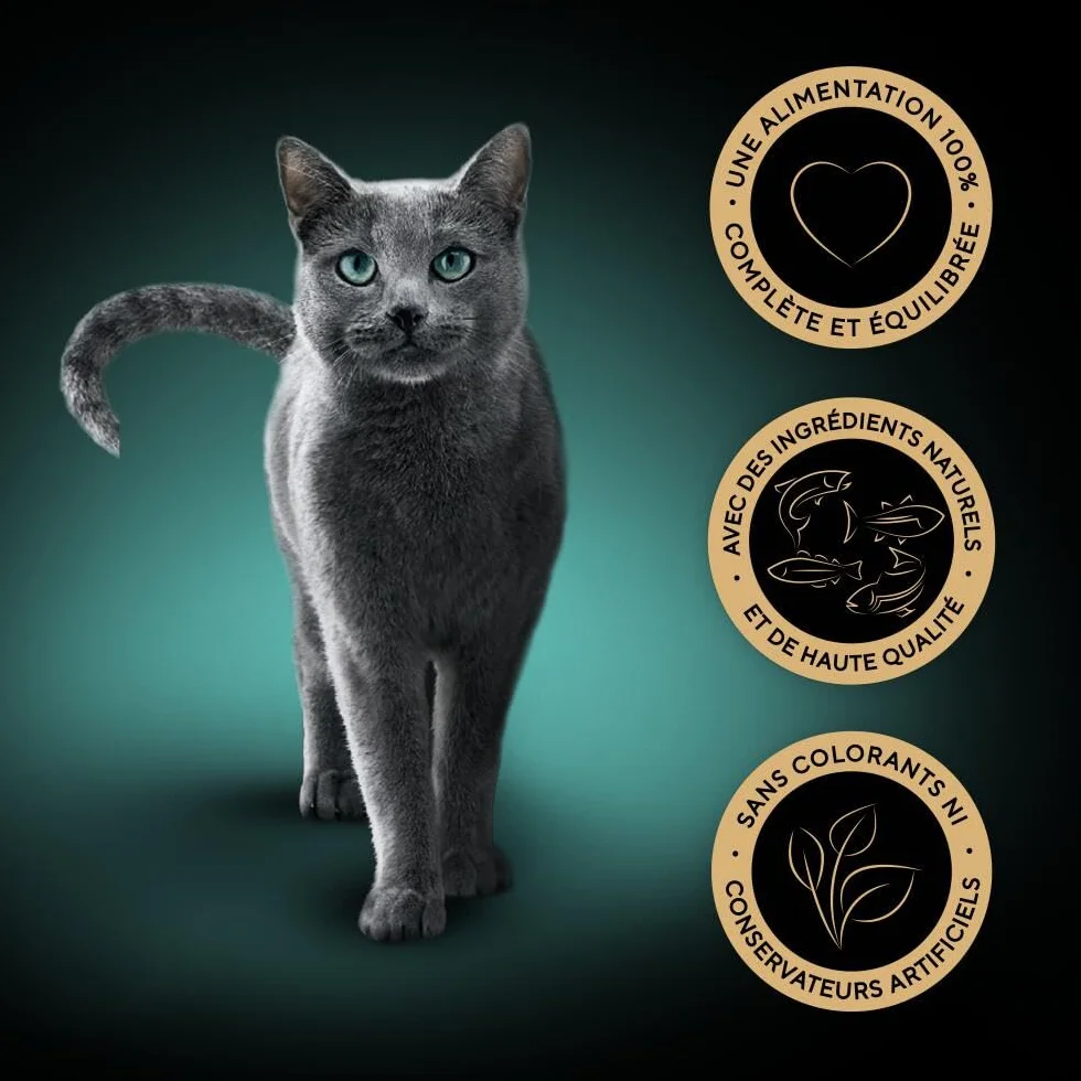 Sheba Sauce Collection Sachets fraîcheur Nourriture Humide aux Poissons pour Chat Adulte 40x85g
