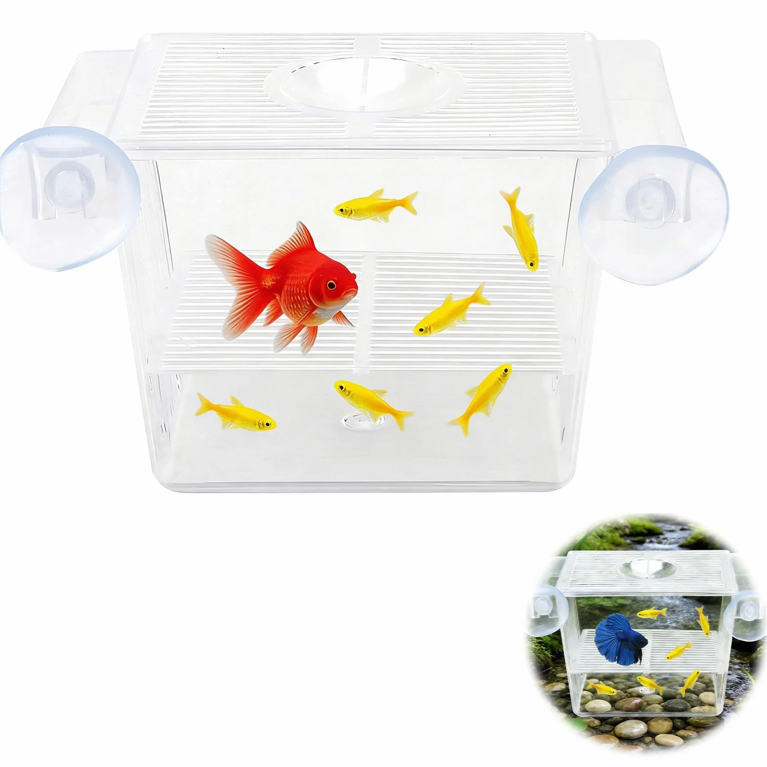 Boîte de Culture de Poissons, Couveuse Aquarium Acrylique Transparente avec Ventouses, Bac Alevins Autoflottant