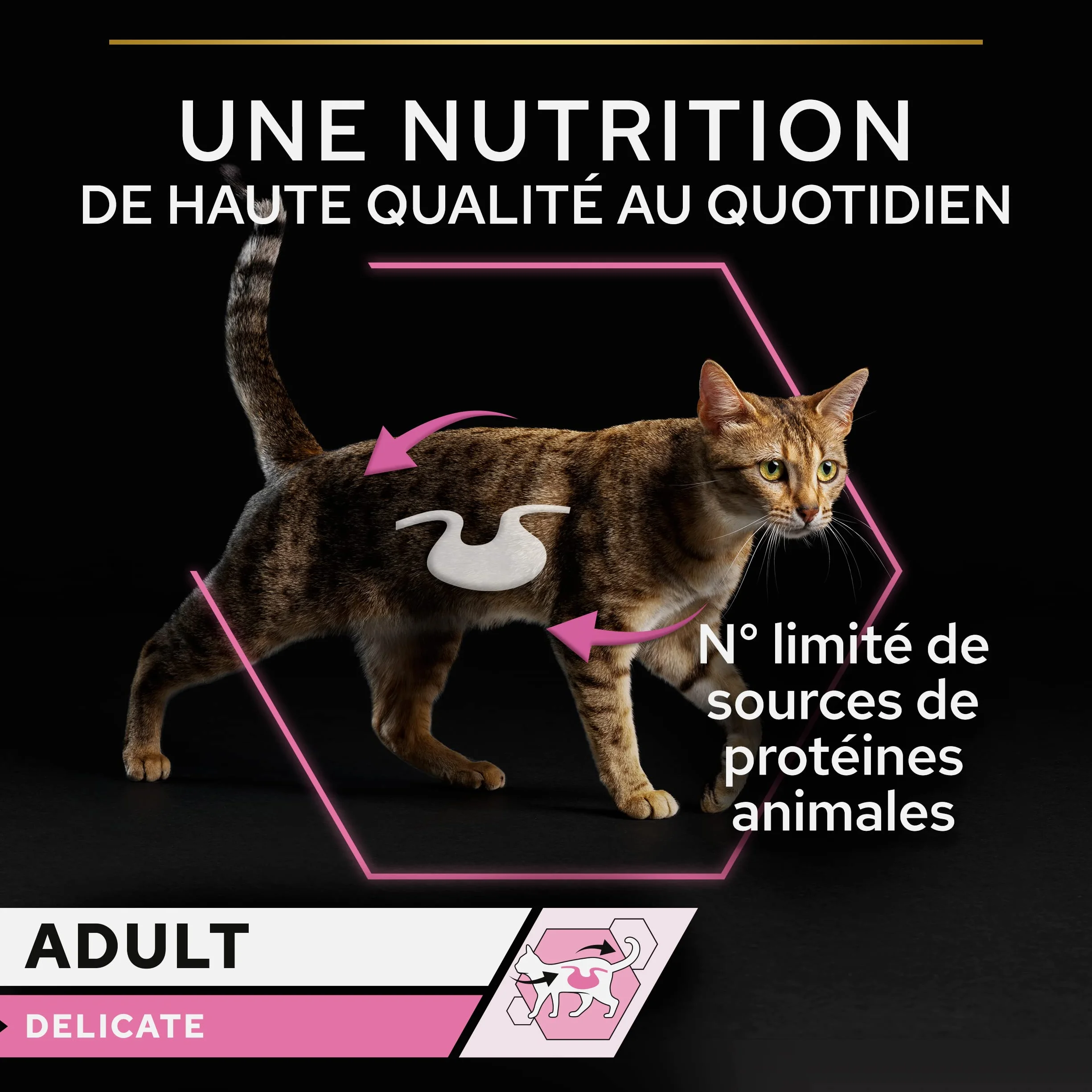 PURINA PRO PLAN Aliment Complet pour Chat Adulte DELICATE DIGESTION Effilés en Sauce à la Dinde 10x85g