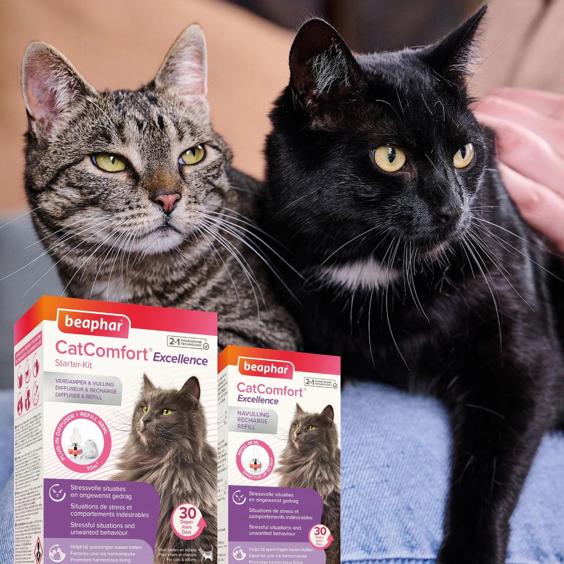 BEAPHAR CATCOMFORT EXCELLENCE Recharge diffuseur électrique phéromones chat 48ml