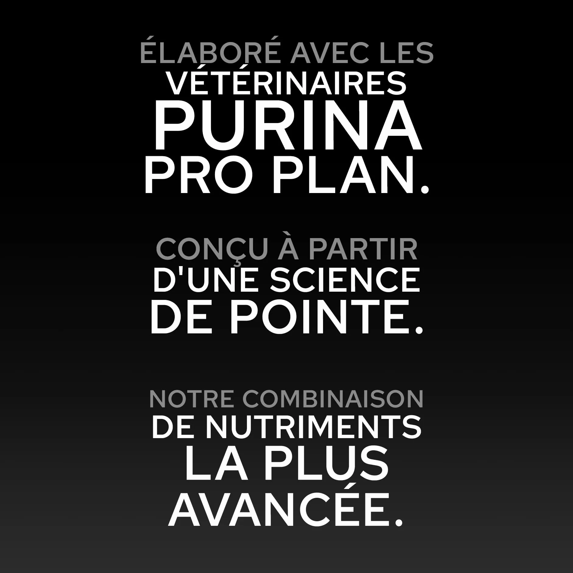 PRO PLAN Chien Large Puppy Athletic Healthy Start Poulet 12KG