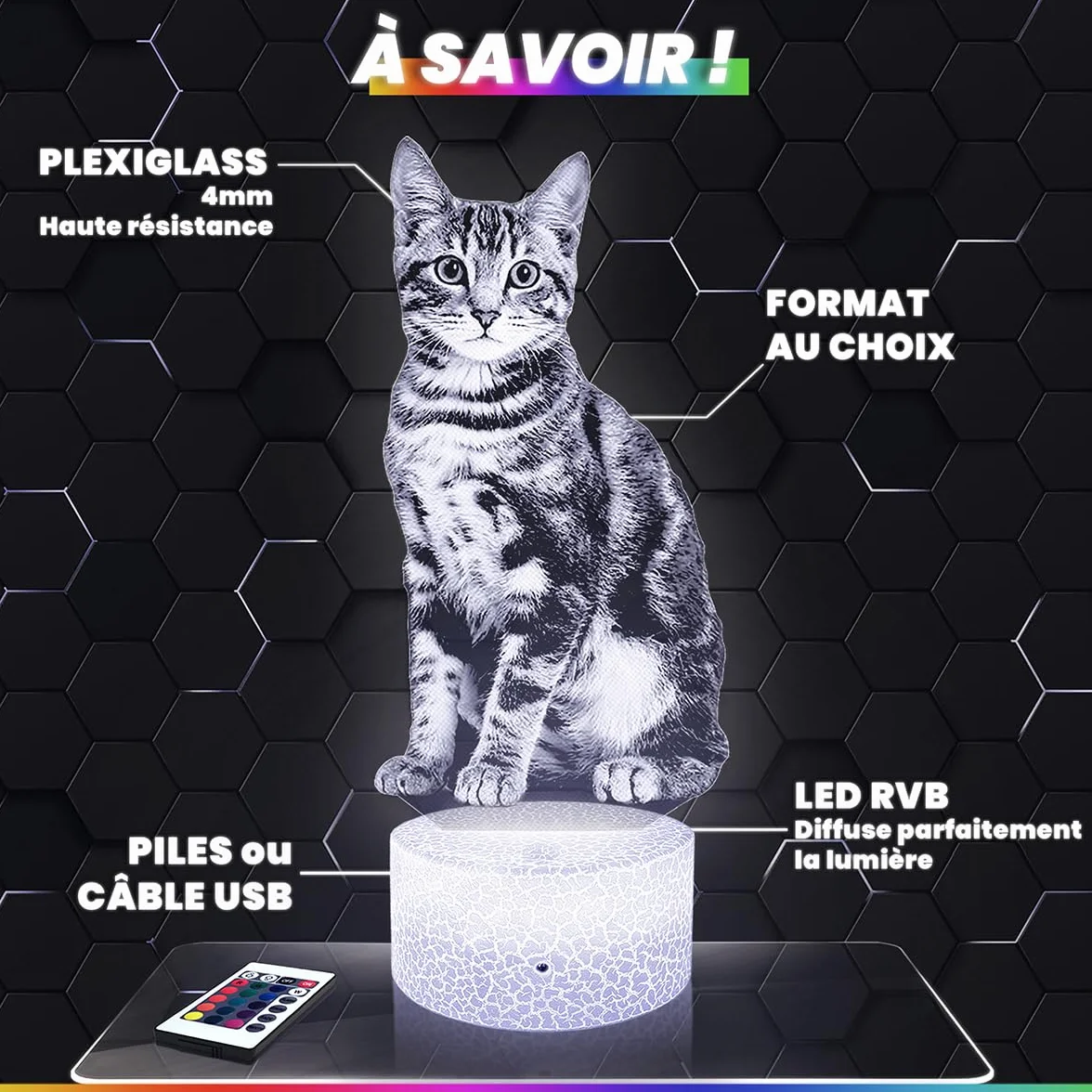 Lampe 3D Panda Roux Décoration Animal Sauvage Asie, Veilleuse Adulte Déco Chambre, Effet Hologramme