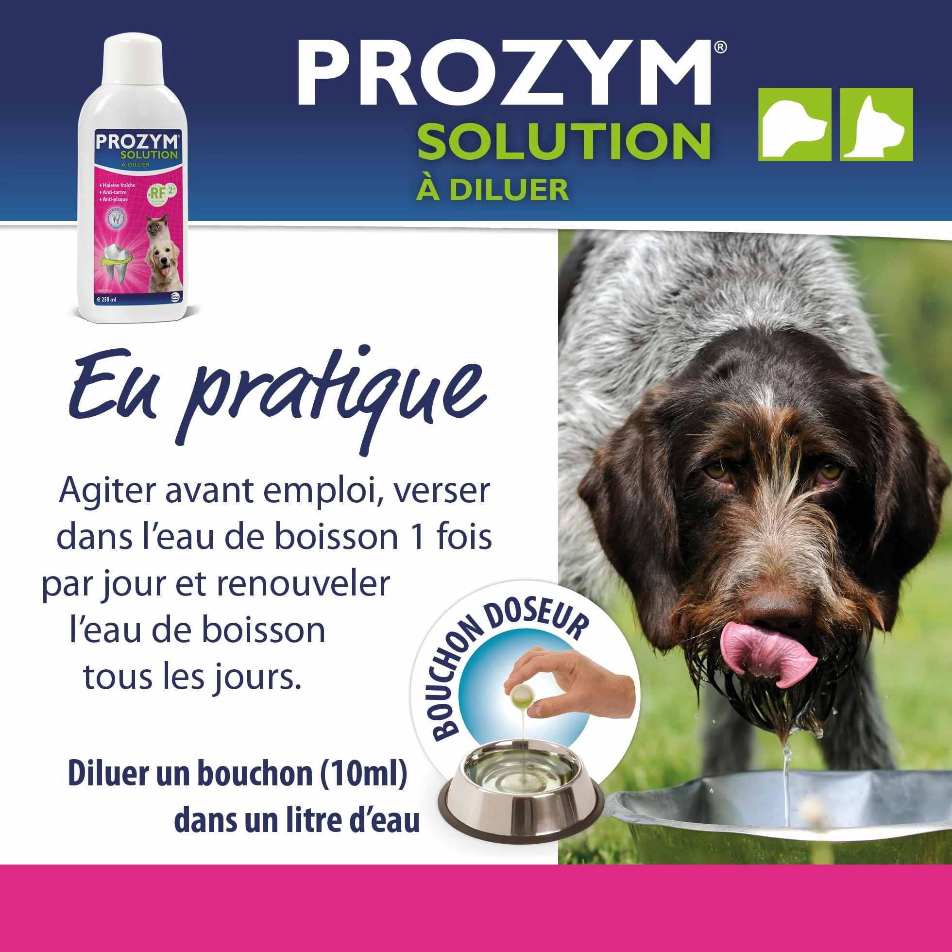 Prozym Solution Dentaire Chiens Chats Anti-tartre Haleine fraîche