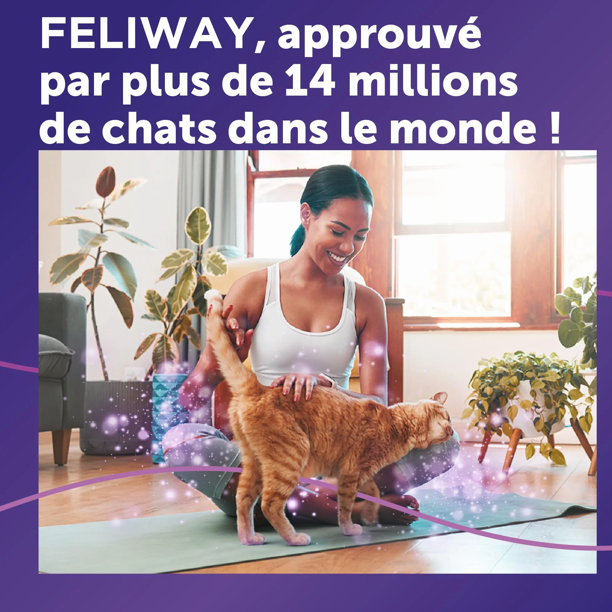 FELIWAY Classic Anti-Stress pour Chat Pack économique 3 recharges 3x30 Jours