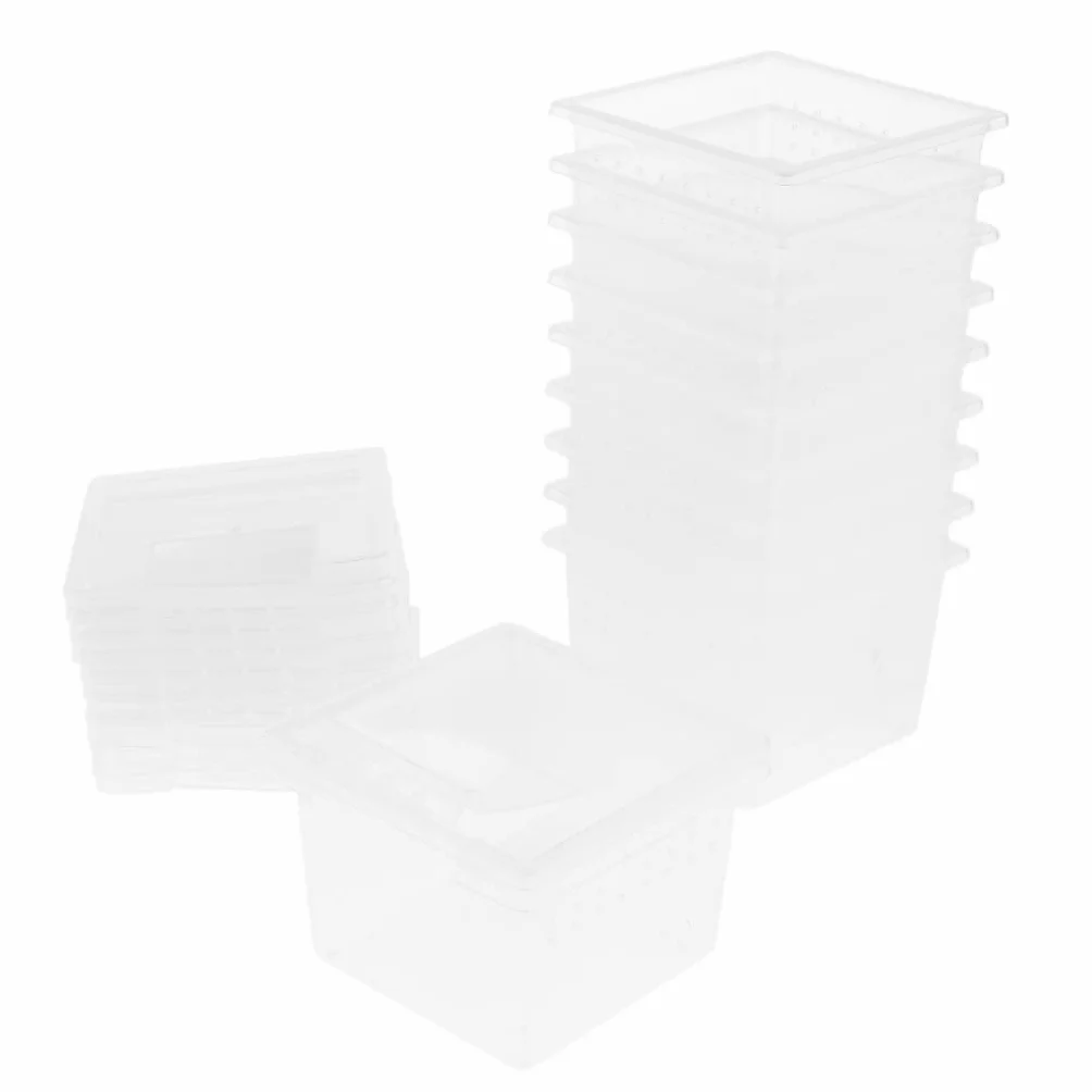 Perfk 10pcs d'Élevage pour Grenouille, Gecko, Insecte
